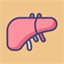 Liver